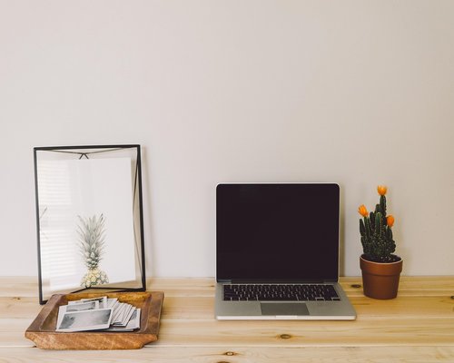 modern home office setup with natural light and plants